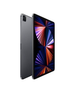 Apple iPad Pro 5th Gen 12.9&quot; 128GB 